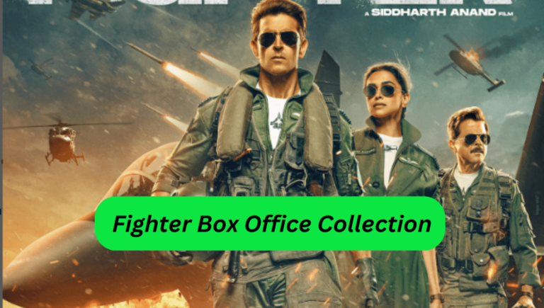 Fighter Box Office Collection